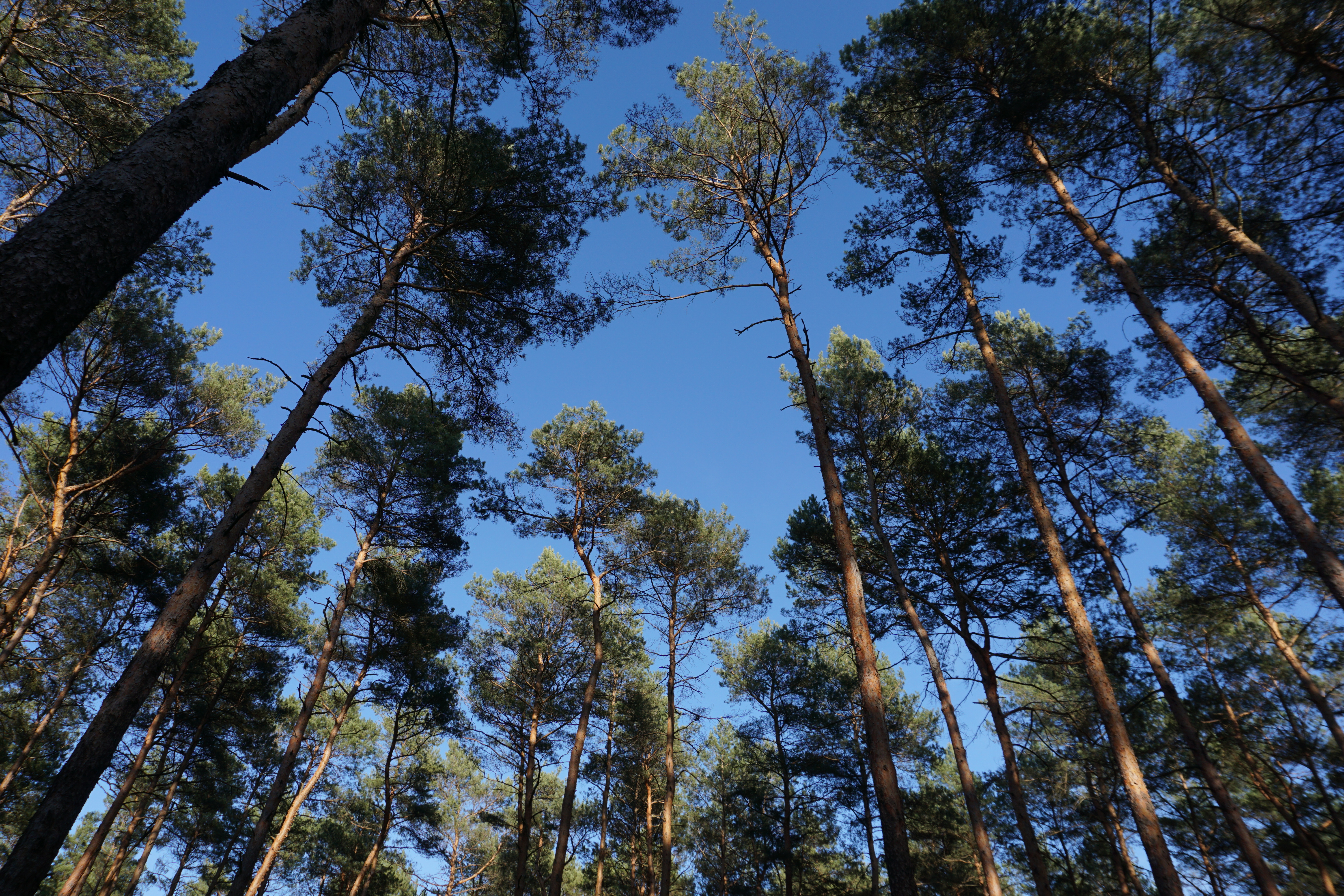Rügen, Germany | 2026