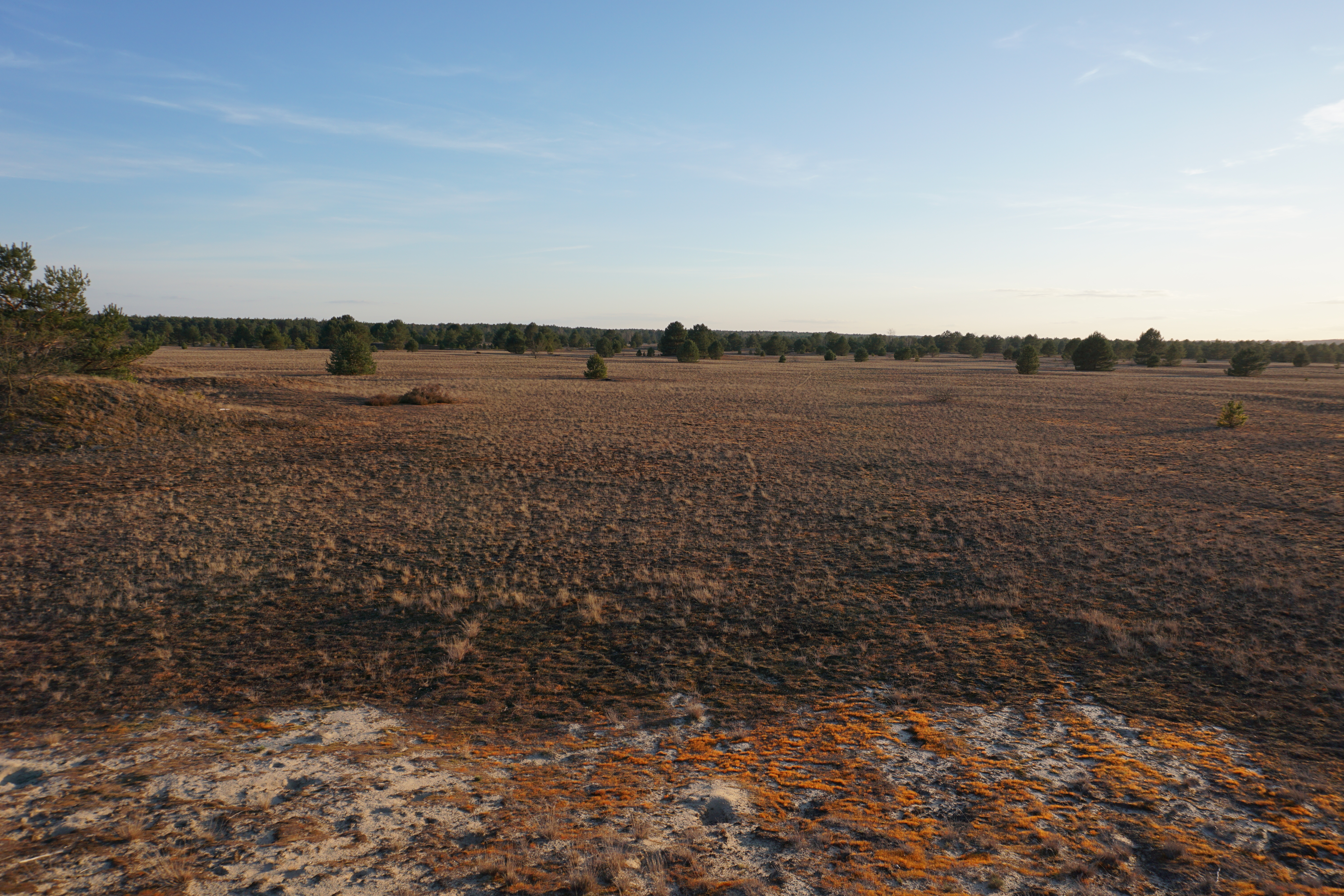 Rügen, Germany | 2026